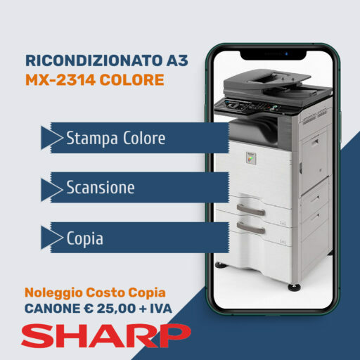 MX2314 RICONDIZIONATO